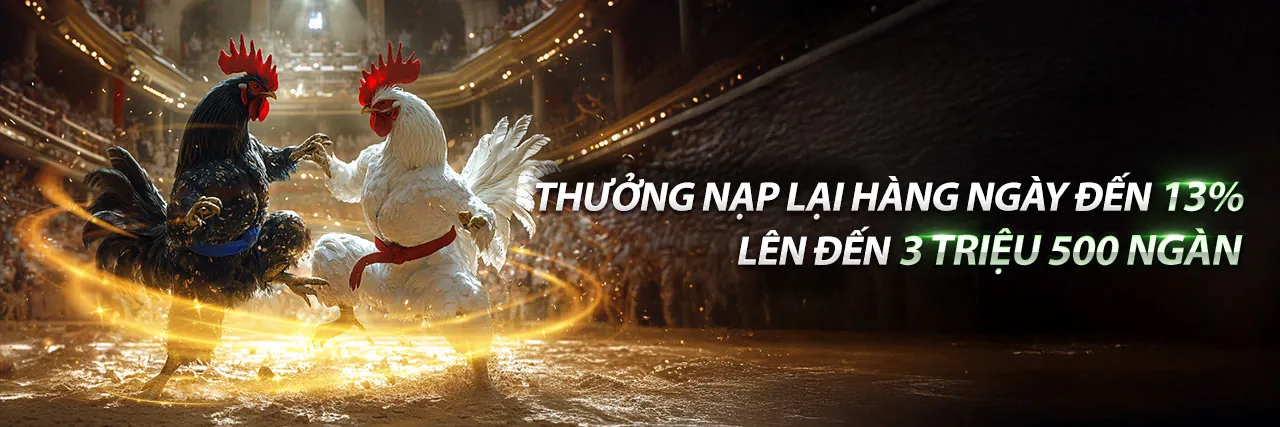 Hình ảnh chính Spobet trang chủ đăng ký