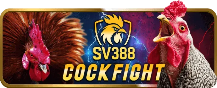 Thưởng nạp lại cao cấp cho VIP Spobet