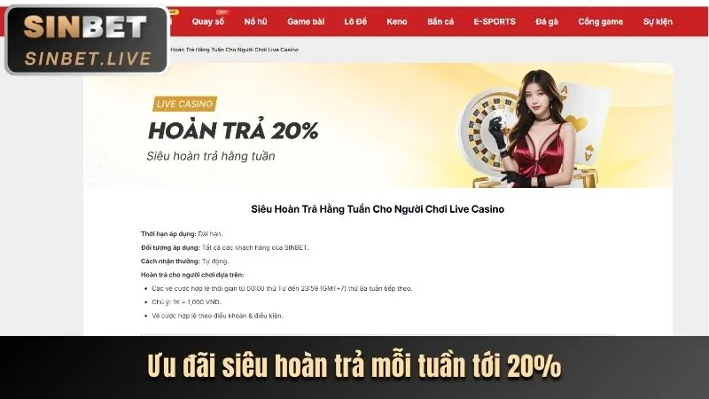 Minh họa chiến lược Martingale trong Baccarat